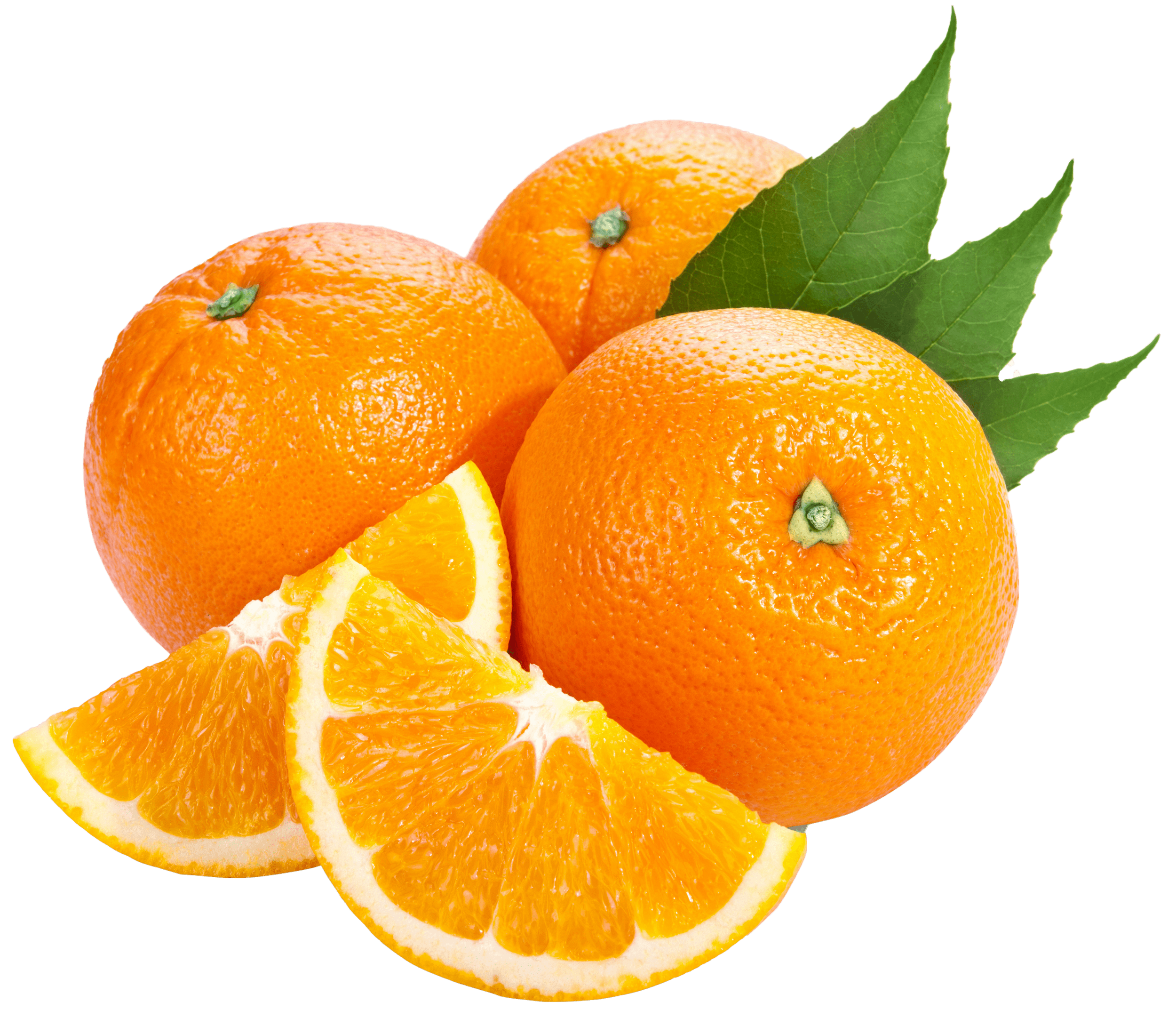 Orangepng.parspng.com 7